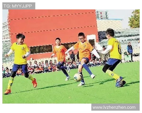 橄榄核足球的魅力与发展探讨：从传统到现代的演变之路