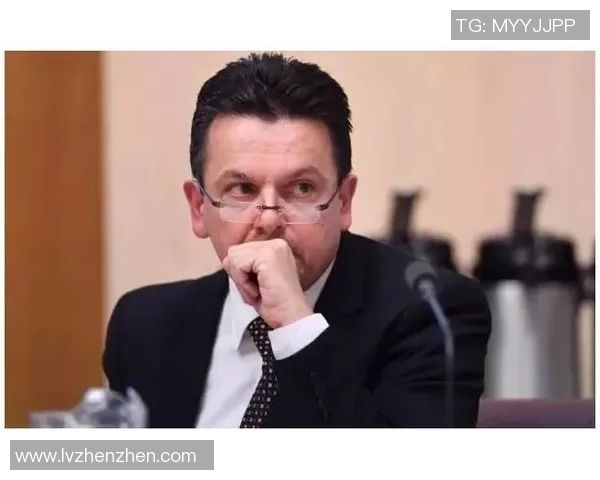 混血孩子小将归化足球的崛起与挑战探索多元文化融合的新篇章