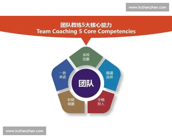 团结协作共创卓越成果的团队精神实践与提升策略