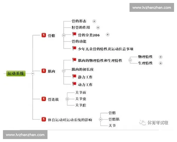 基于体育科学实验视角的人体运动表现机制与训练优化策略研究 基于体育科学实验视角的人体运动表现机制与训练优化策略研究