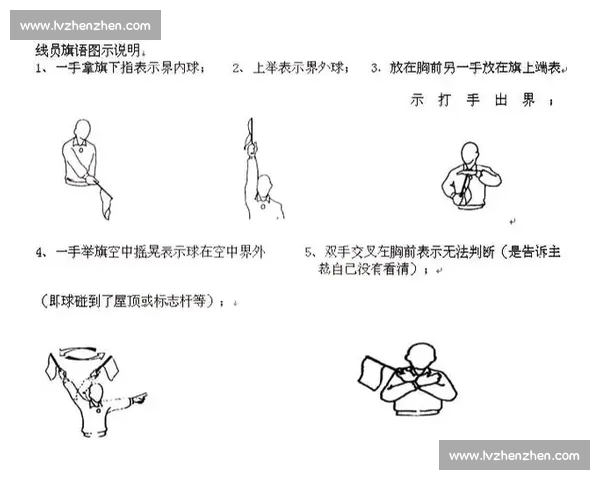全面解析各类体育运动规则与比赛裁判判罚标准