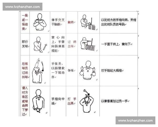 全面解析各类体育运动规则与比赛裁判判罚标准 全面解析各类体育运动规则与比赛裁判判罚标准